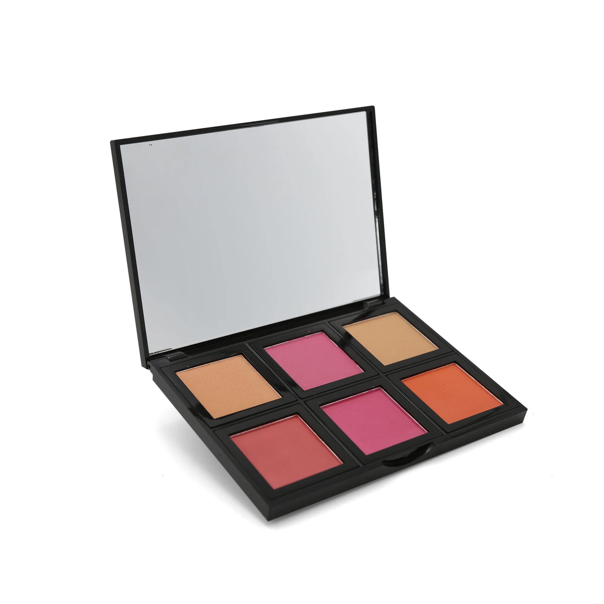 BECUTE 6 Blush Palette Kit